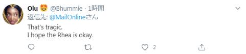 剛確診新冠一星期，巴西總統(tǒng)喂鴕鳥時(shí)又被咬了，網(wǎng)友卻希望“鳥沒事”(圖5)