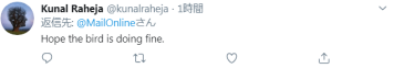 剛確診新冠一星期，巴西總統(tǒng)喂鴕鳥時(shí)又被咬了，網(wǎng)友卻希望“鳥沒事”(圖4)