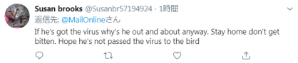 剛確診新冠一星期，巴西總統(tǒng)喂鴕鳥時(shí)又被咬了，網(wǎng)友卻希望“鳥沒事”(圖6)