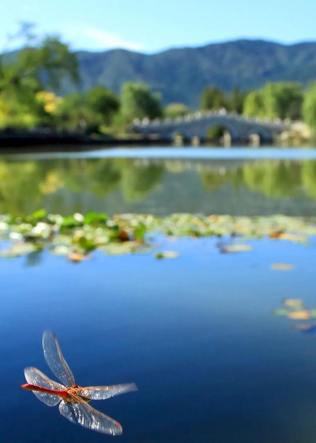 今日大暑丨迎風沐雨，憧憬未來(圖5)