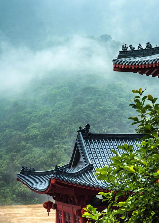 今日大暑丨迎風沐雨，憧憬未來(圖3)
