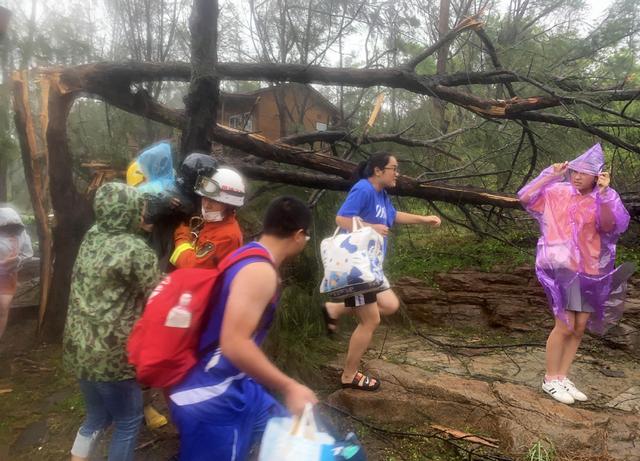 臺(tái)風(fēng)“米克拉”登陸福建漳浦 景區(qū)樹(shù)倒游客被困(圖3)