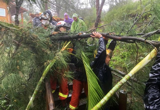 臺(tái)風(fēng)“米克拉”登陸福建漳浦 景區(qū)樹(shù)倒游客被困(圖4)